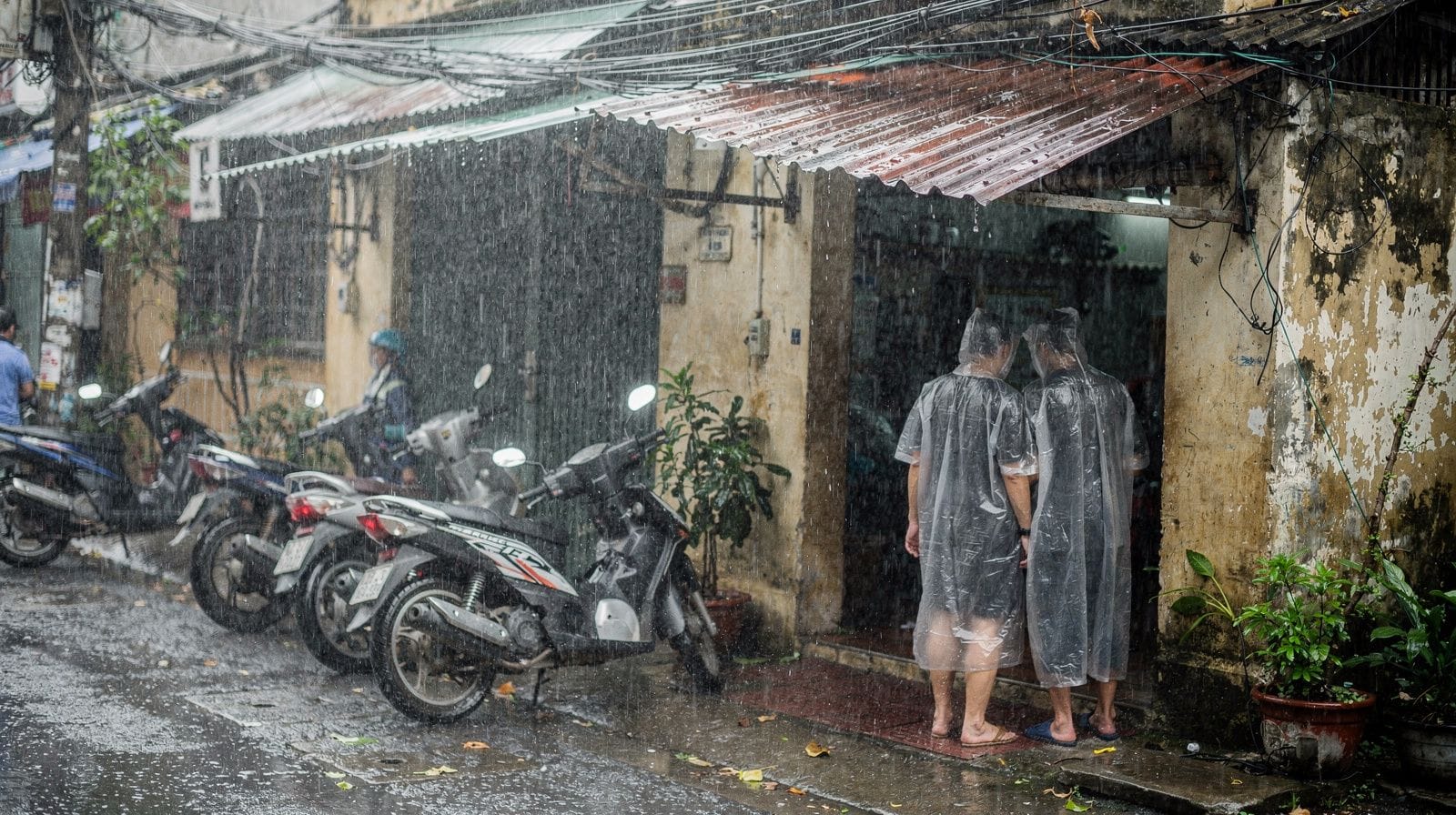 Best Time to Visit Ho Chi Minh City