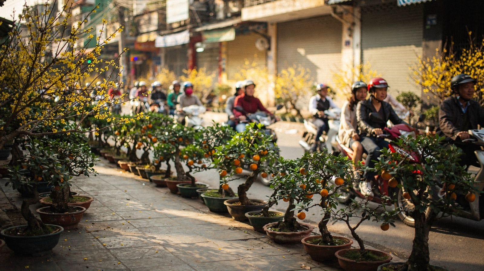 Tet in Ho Chi Minh City: A Saigonese Lunar New Year