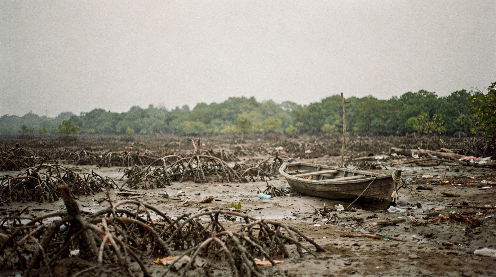 Ca Mau