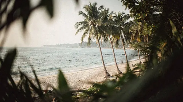 Vung Tau, Ho Tram or Con Dao: Choosing a Beach Near Saigon