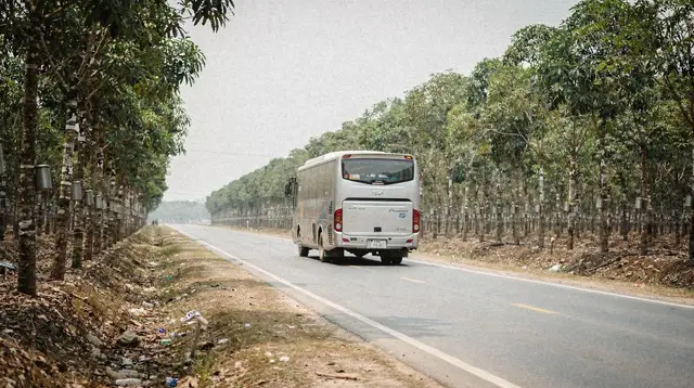 Cu Chi Tunnels from Phu My Cruise Port