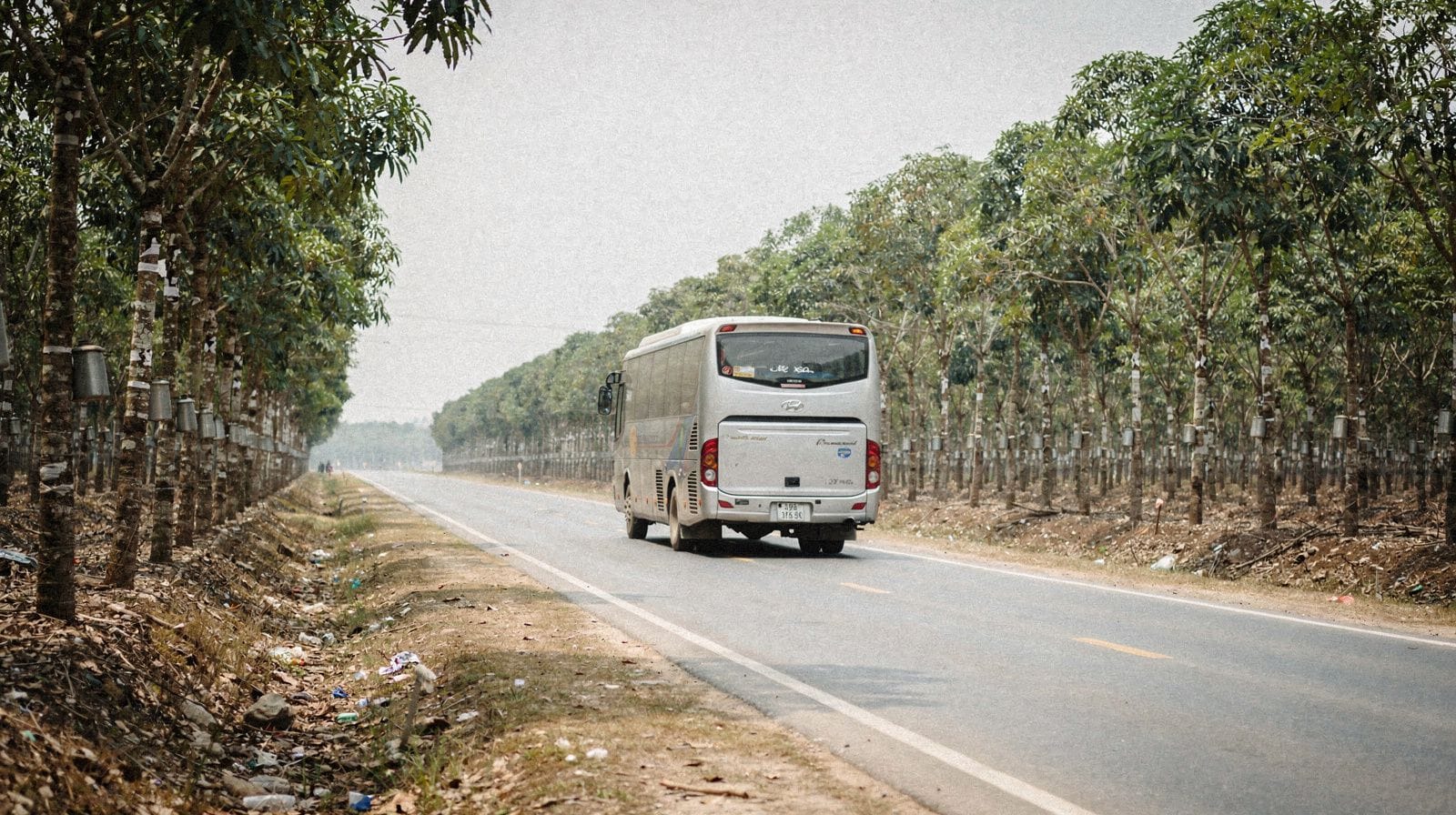 Cu Chi Tunnels from Phu My Cruise Port
