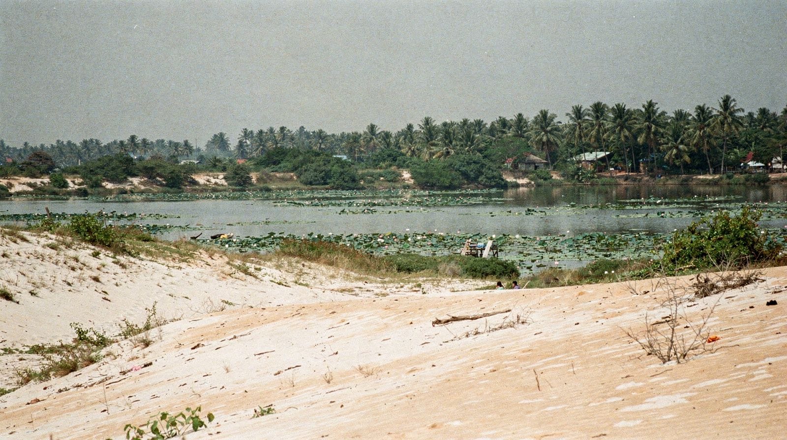 Mui Ne's Red and White Sand Dunes: What Makes Them Different