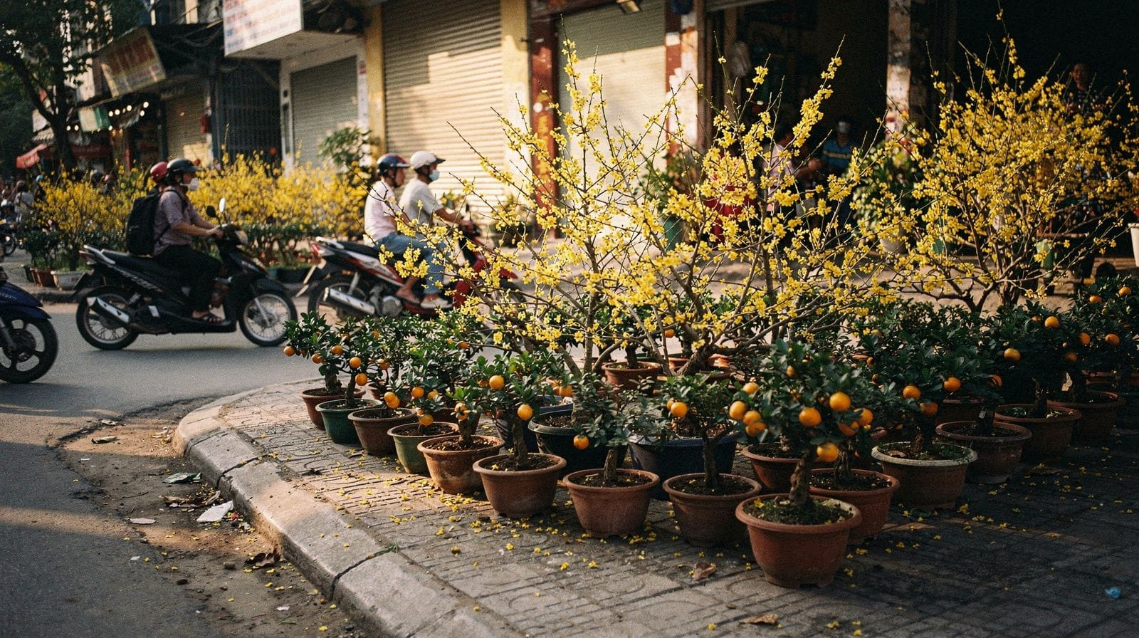 Tet in Southern Vietnam: What Actually Closes, and What Doesn't